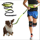 Hands-Free Dog Leash Running Belt – Bungee Leash Waist Belt with Phone Pocket, Treat Pouch & Water Bottle Holder