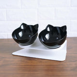 Tilted Cat Ear Pet Bowl — Angled Transparent Single Food Bowl for Cats & Dogs