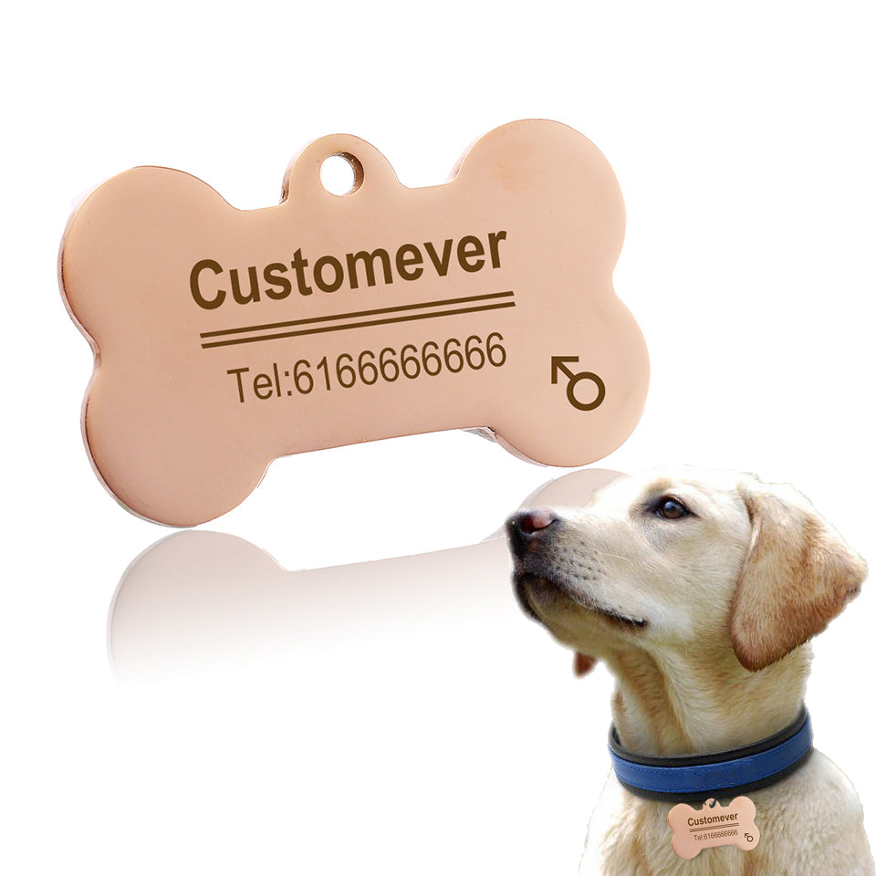 Personalized Pet ID Tag – Stainless Steel Anti-Lost Dog & Cat Tag | 4 Shapes, 4 Colors