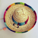 Mini Mexican Straw Sun Hat for Cats & Dogs – Woven Pet Costume Accessory