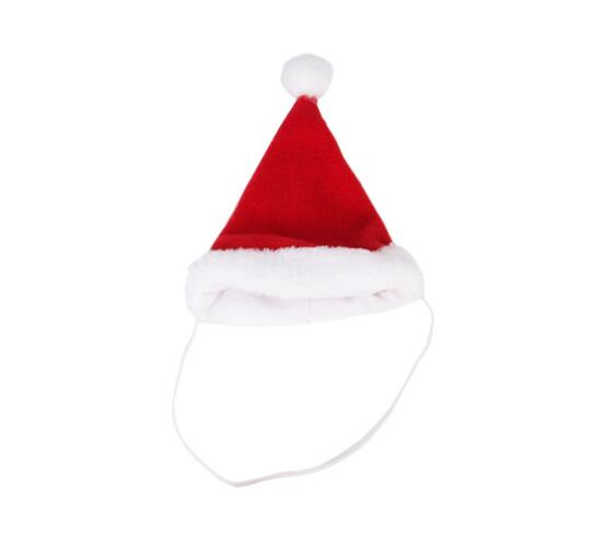 red-hat