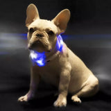 LED Light-Up Pet Collar – USB Rechargeable Safety Collar for Dogs & Cats