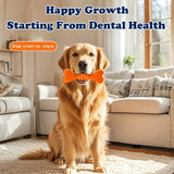 Rubber Chew Bone Dog Toy – Treat-Dispensing Dental Stick with Spike Texture for Teeth Cleaning