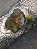 Multi-Channel Collapsible Pet Tunnel – 3-Channel Tree Hole or 5-Channel Star Design for Cats & Small Pets