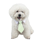 Cartoon Print Pet Bow Tie – Cat & Dog Collar Accessory in 12 Patterns