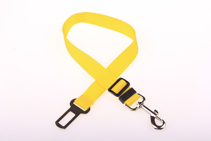 Polyester Dog Leash with Fixed Strap — Durable & Secure Walking Lead