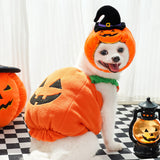 Festive Pet Harness Vest — Halloween, Thanksgiving & Christmas Costume