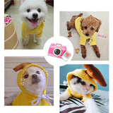 Fruit Print Dog Hoodie — Winter Warm Fleece Coat for Small Dogs