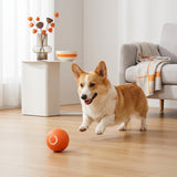 Automatic Jumping Rubber Ball – Bite-Resistant Interactive Dog Toy