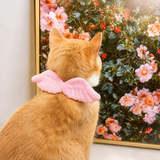 Angel Wing Collar for Dogs & Cats – Butterfly Bow Neck Decoration