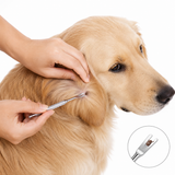 Tick Remover Tool for Dogs & Cats – Stainless Steel Tick Tweezer Kit