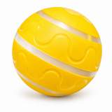 Wicked Ball – Intelligent Auto Self-Rotating Interactive Toy for Cats & Dogs