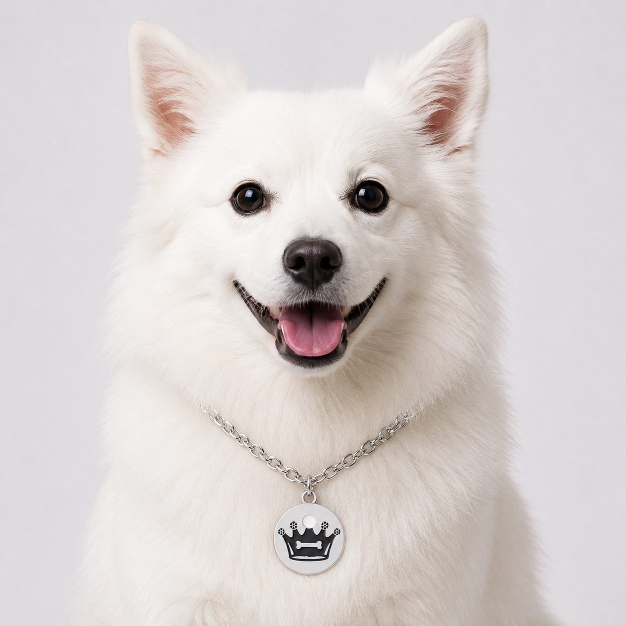 Pet Identity Card Anti-Lost Tag — Zinc Alloy Pet ID for Dogs & Cats