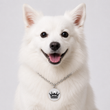 Pet Identity Card Anti-Lost Tag — Zinc Alloy Pet ID for Dogs & Cats