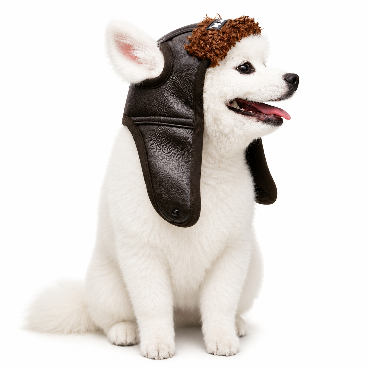Dog Leather Hat | Autumn Winter Pet Headwear for Small to XXL Dogs