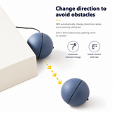 Electric Mouse Teaser Ball – Gravity-Sensing Auto-Rolling Interactive Cat Toy