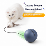 Electric Mouse Teaser Ball – Gravity-Sensing Auto-Rolling Interactive Cat Toy