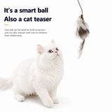 Electric Mouse Teaser Ball – Gravity-Sensing Auto-Rolling Interactive Cat Toy