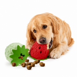 Chew-Resistant Strawberry Treat Dispensing Ball for Dogs