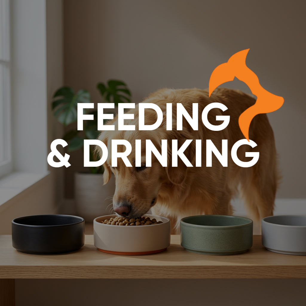 Feeding & Drinking