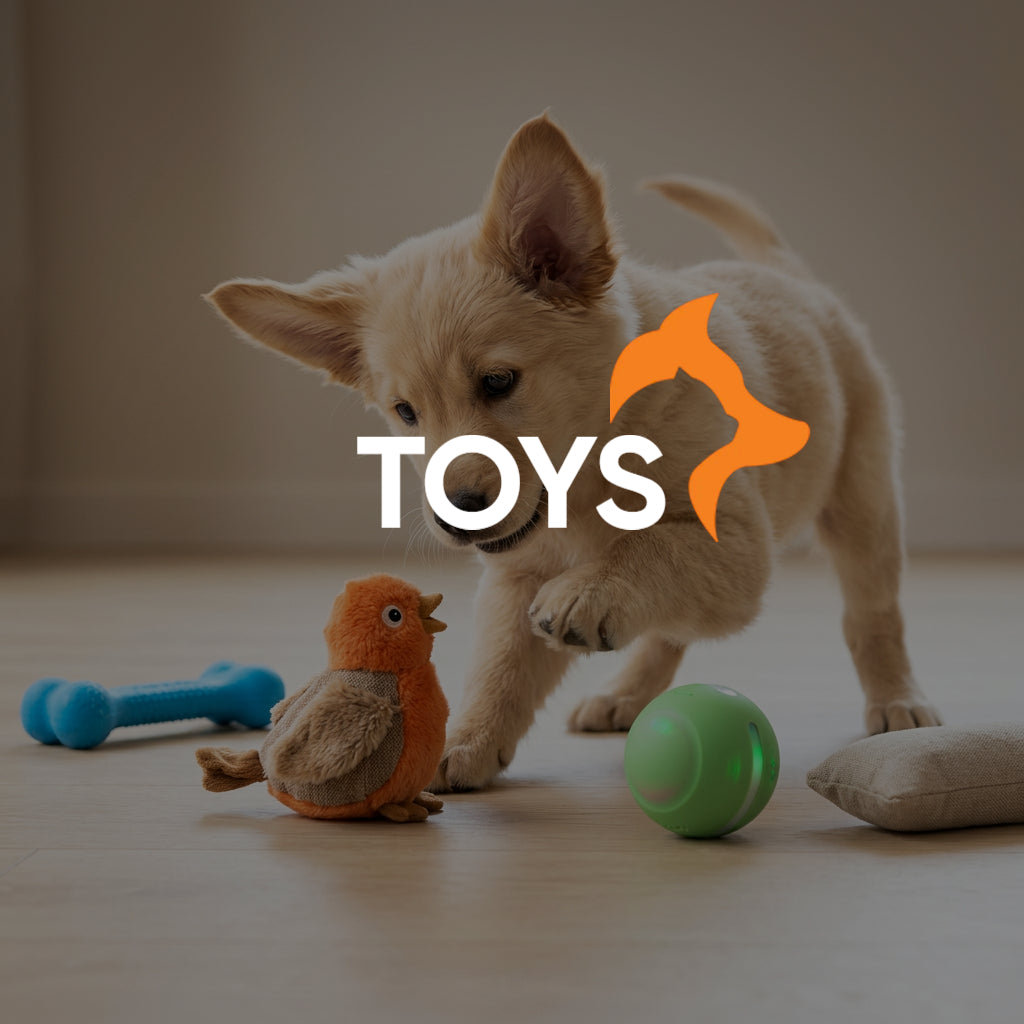 Pet Toys