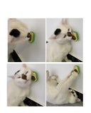 Avocado Catnip Ball Toy – 360° Rotating Mint & Gall Fruit Cat Toy