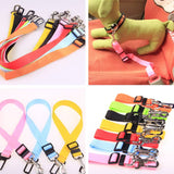 Polyester Dog Leash with Fixed Strap — Durable & Secure Walking Lead