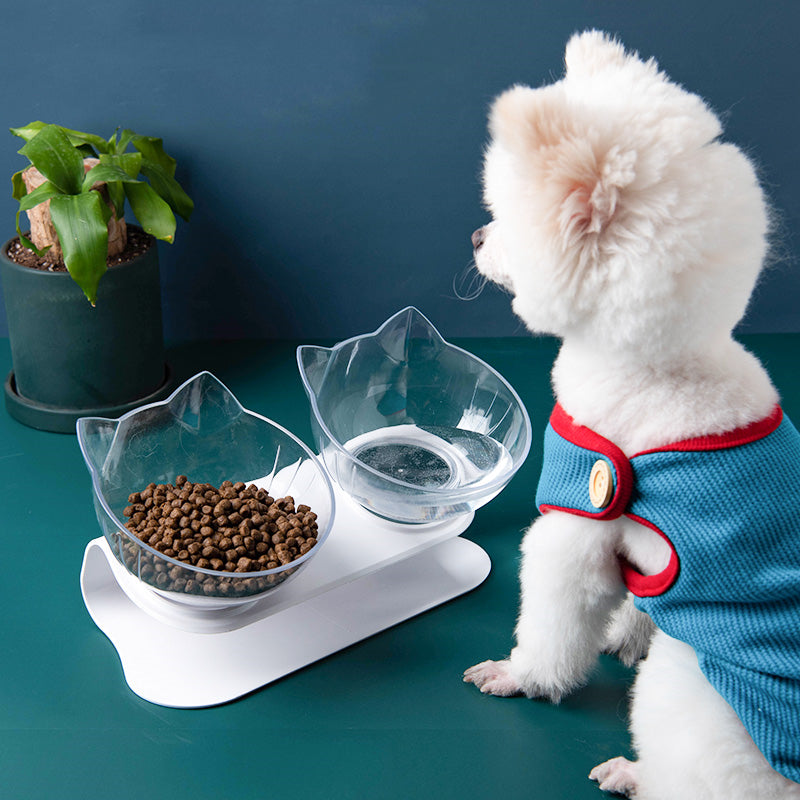 Tilted Cat Ear Pet Bowl — Angled Transparent Single Food Bowl for Cats & Dogs