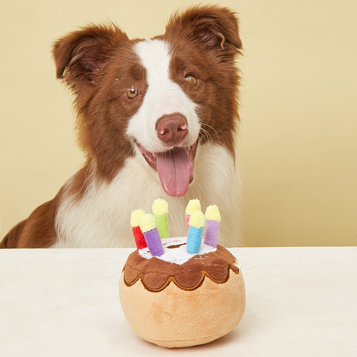 Birthday Cake Plush Dog Toy – Squeaky Chew Toy with Colourful Candles & Happy Birthday Embroidery