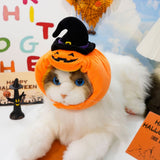 Festive Pet Harness Vest — Halloween, Thanksgiving & Christmas Costume