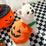 Festive Pet Harness Vest — Halloween, Thanksgiving & Christmas Costume