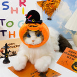 Festive Pet Harness Vest — Halloween, Thanksgiving & Christmas Costume