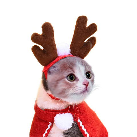Cute Christmas Cloak Halloween Disguise Cat Costume