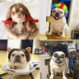Pet Costume Wig Headdress for Dogs & Cats – 7 Fun Styles