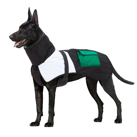 Pet Winter Thickened Warm Padded Winter Coat