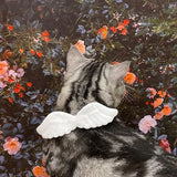 Angel Wing Collar for Dogs & Cats – Butterfly Bow Neck Decoration