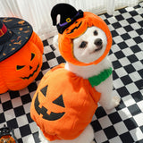 Festive Pet Harness Vest — Halloween, Thanksgiving & Christmas Costume