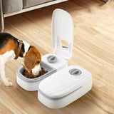 Automatic Pet Feeder with Timer — Smart Food Dispenser & Stainless Steel Bowl